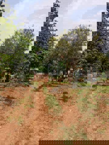 Sítio à venda em Guarulhos (Água Azul), 1.200 m2 de área total, código 300-1319 (14/14)