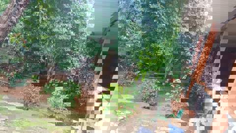 Casa à venda em Guarulhos (Jd Do Triunfo - Bonsucesso), 2 dormitórios, 1 banheiro, 2 vagas, código 300-1324 (7/18)