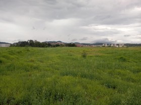 Área à venda em Guarulhos com 36000 m2 (total)