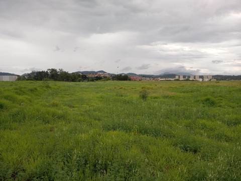 Área à venda em Guarulhos com 36.000 m2 de área total, código 300-1356 (1/26)