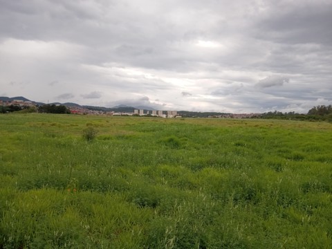 Área à venda em Guarulhos com 36.000 m2 de área total, código 300-1356 (3/26)