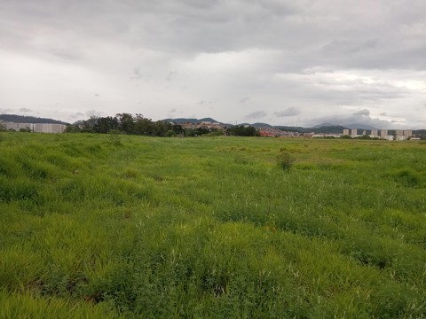 Área à venda em Guarulhos com 36.000 m2 de área total, código 300-1356 (4/26)