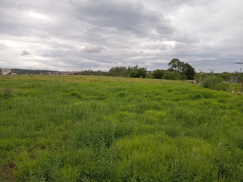 Área à venda em Guarulhos com 36.000 m2 de área total, código 300-1356 (5/26)