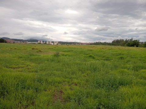 Área à venda em Guarulhos com 36.000 m2 de área total, código 300-1356 (6/26)