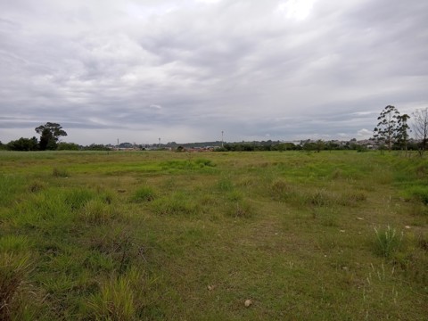 Área à venda em Guarulhos com 36.000 m2 de área total, código 300-1356 (8/26)