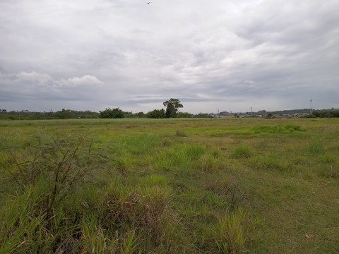 Área à venda em Guarulhos com 36.000 m2 de área total, código 300-1356 (9/26)