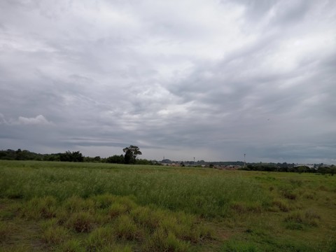 Área à venda em Guarulhos com 36.000 m2 de área total, código 300-1356 (12/26)