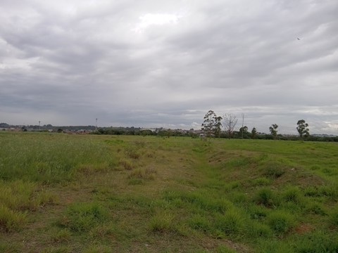 Área à venda em Guarulhos com 36.000 m2 de área total, código 300-1356 (13/26)