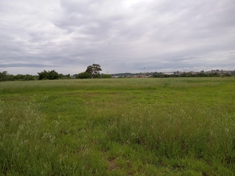 Área à venda em Guarulhos com 36.000 m2 de área total, código 300-1356 (15/26)
