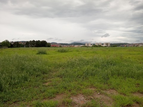 Área à venda em Guarulhos com 36.000 m2 de área total, código 300-1356 (16/26)