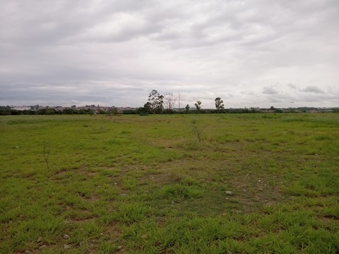 Área à venda em Guarulhos com 36.000 m2 de área total, código 300-1356 (19/26)