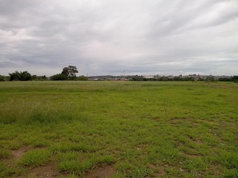 Área à venda em Guarulhos com 36.000 m2 de área total, código 300-1356 (20/26)