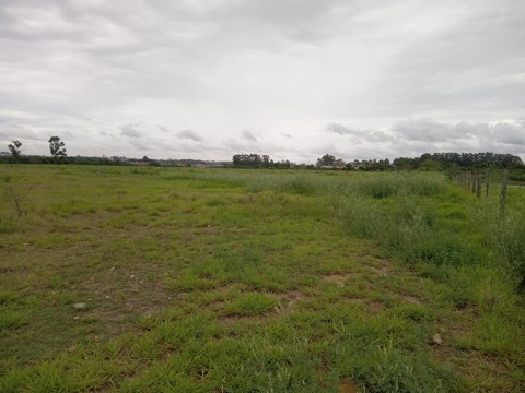 Área à venda em Guarulhos com 36.000 m2 de área total, código 300-1356 (21/26)
