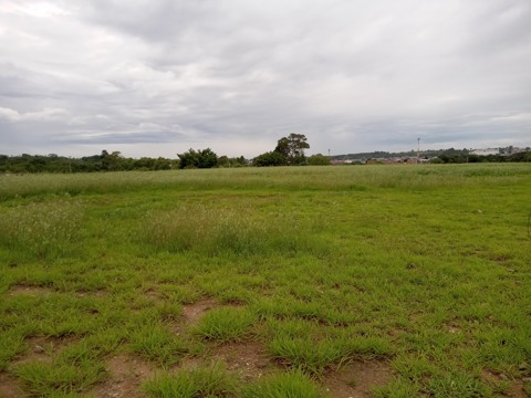 Área à venda em Guarulhos com 36.000 m2 de área total, código 300-1356 (22/26)