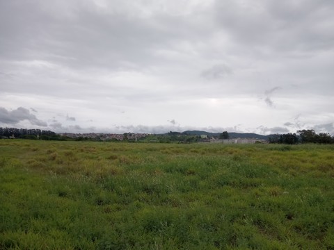 Área à venda em Guarulhos com 36.000 m2 de área total, código 300-1356 (25/26)