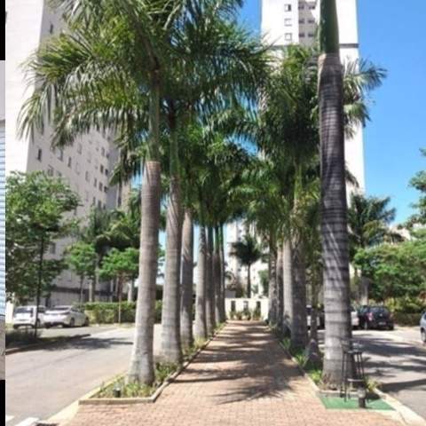 Apartamento à venda em São José Dos Campos (Jd Ismênia - Zona Leste), 2 dormitórios, 1 banheiro, 1 vaga, 45 m2 de área útil, código 309-20 (foto 11/15)
