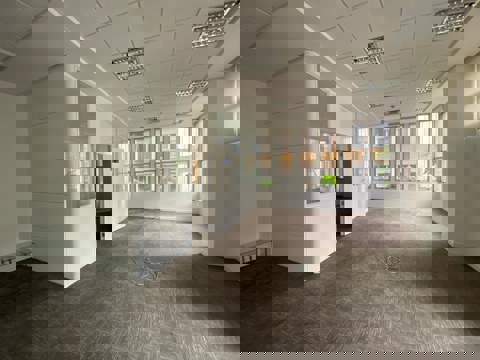 Loja para alugar em São Paulo (Bela Vista), 2 banheiros, 12 vagas, 586 m2 de área útil, código 310-314 (12/20)