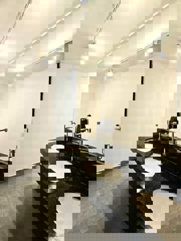 Casa para alugar em São Paulo (Pinheiros), 2 banheiros, 5 vagas, 350 m2 de área útil, código 310-412 (10/36)