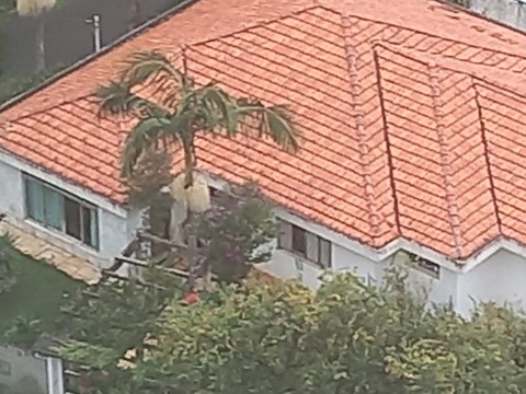 Casa para alugar em São Paulo (Alto de Pinheiros), 4 dormitórios, 4 suites, 6 banheiros, 4 vagas, 400 m2 de área útil, código 310-437 (2/8)