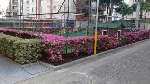 Apartamento à venda em São Paulo (Jd São Savério - Sacomã), 2 dormitórios, 1 suite, 1 banheiro, 1 vaga, 53 m2 de área útil, código 310-440 (17/37)