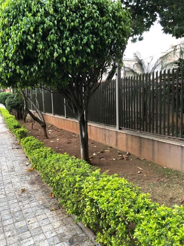 Apartamento à venda em São Paulo com 3 dormitórios, 2 suites, 5 banheiros, 4 vagas, 250 m2 de área útil, código 310-502 (4/23)